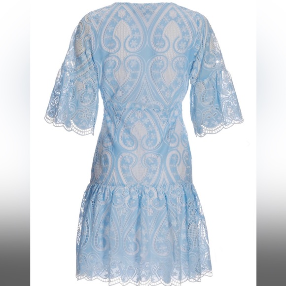 Two Tone Lace Flounce Dress - Picture 3 of 4